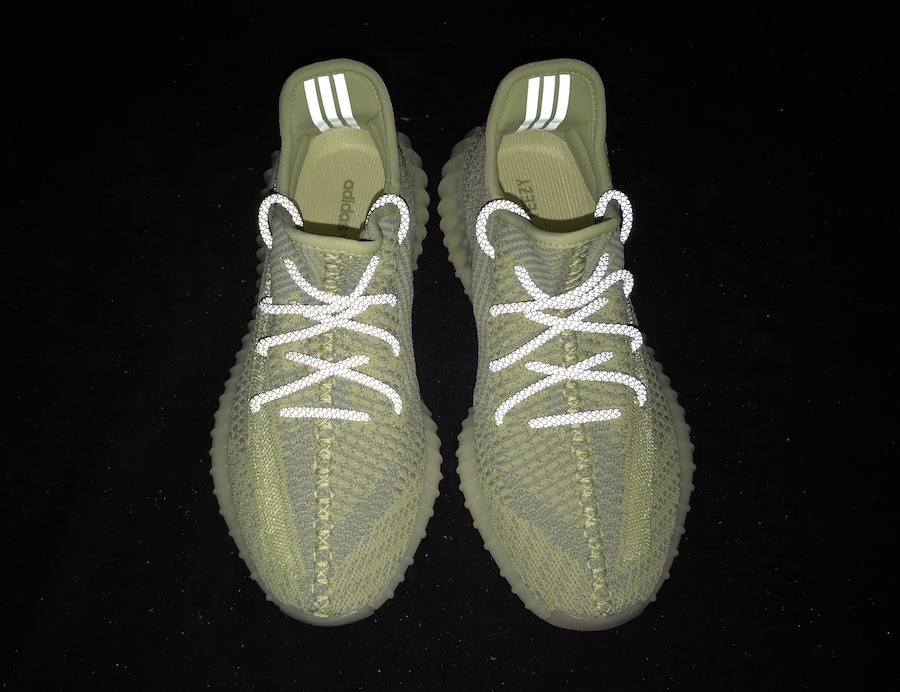 adidas Yeezy Boost 350 V2 Antlia 7