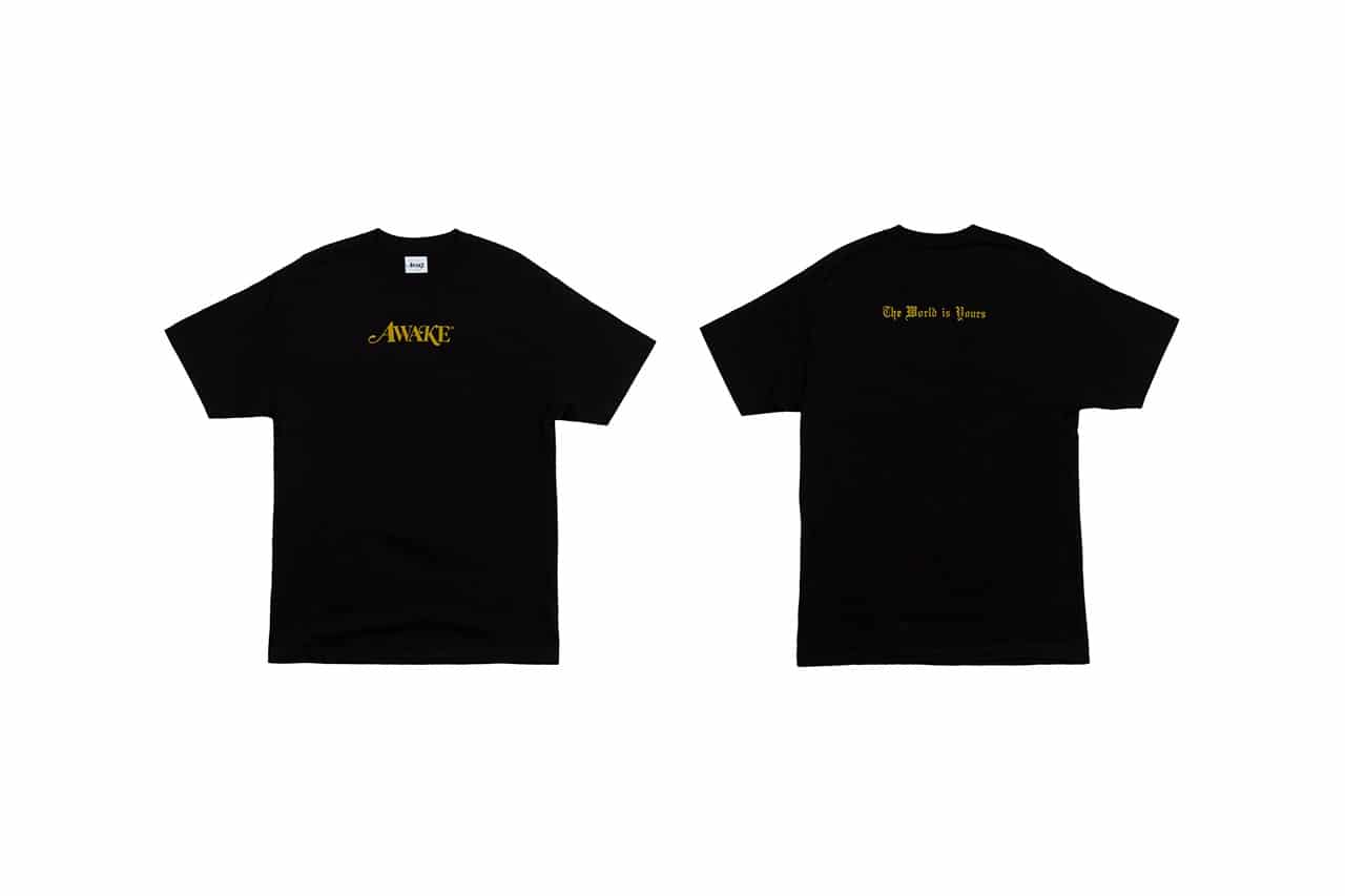 Awake NY x Asics Gel-Kayano 5 360 15