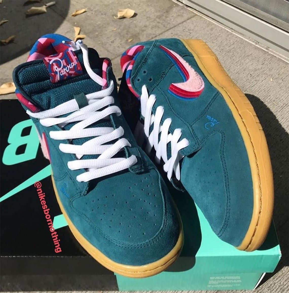 Parra x Nike Sb Dunk Low Friends and Family 3