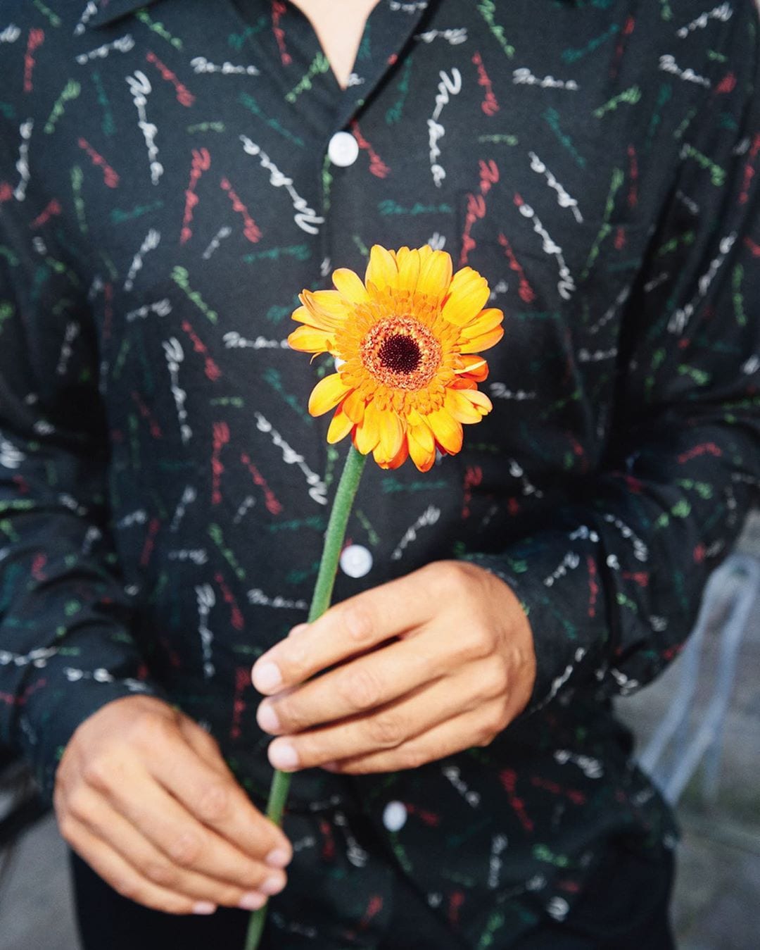 lookbook Polar Skate Co FA19 8