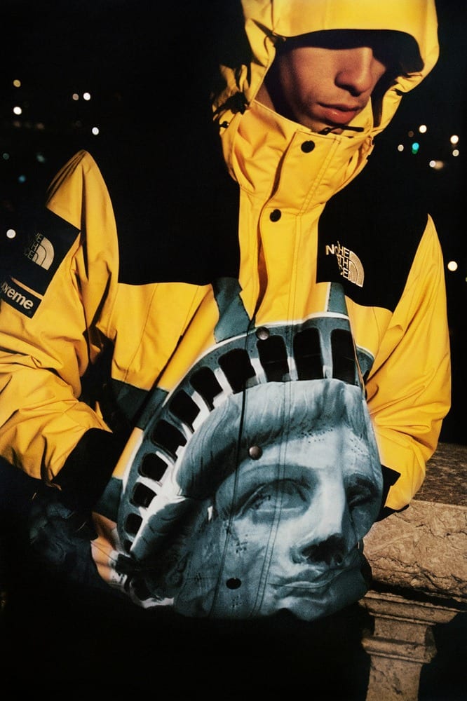 Supreme x The North Face fw19 1