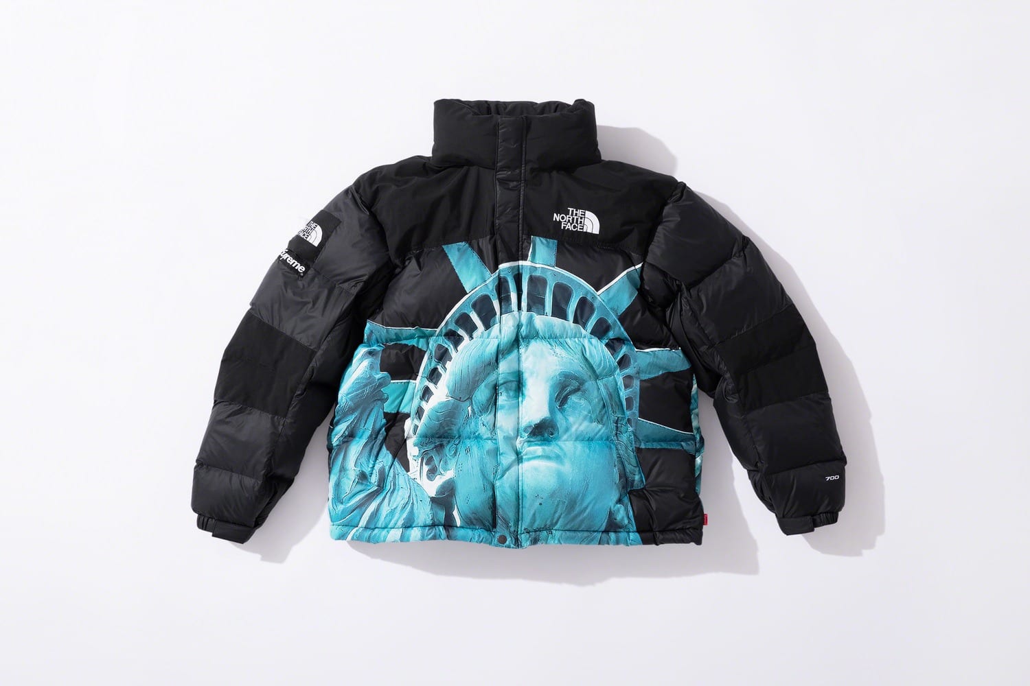 Supreme x The North Face fw19 11