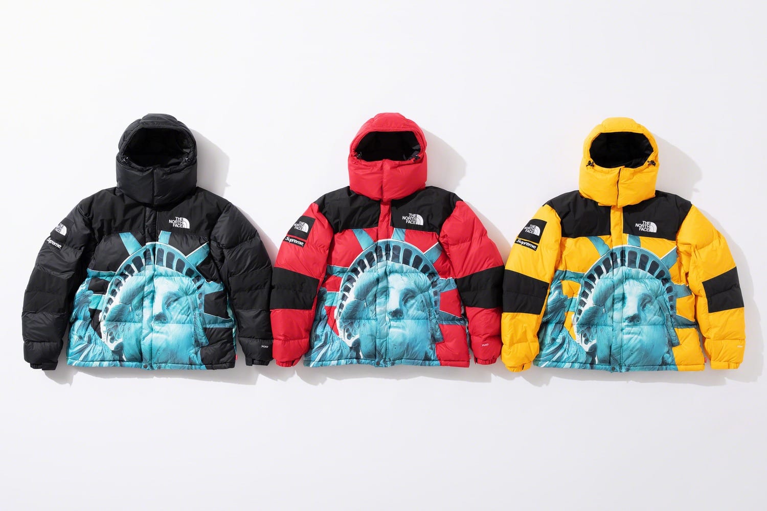 Supreme x The North Face fw19 12