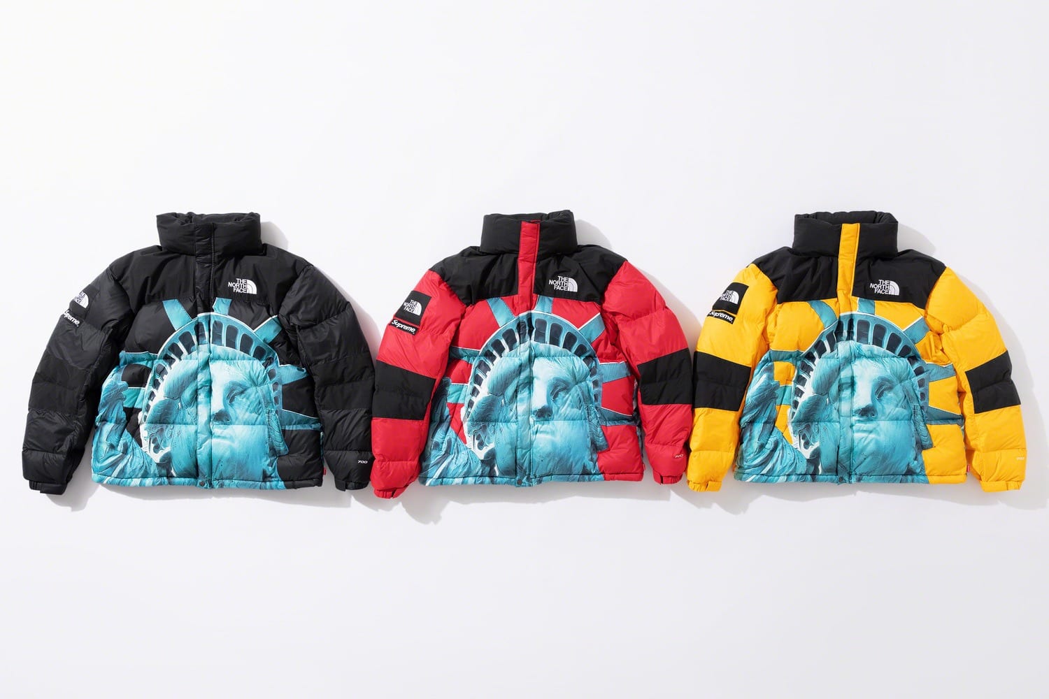 Supreme x The North Face fw19 13