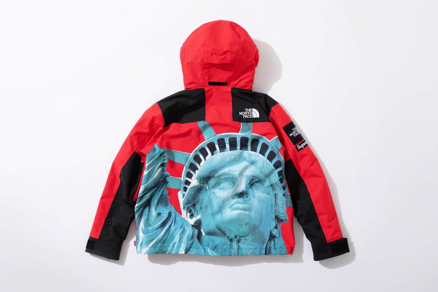 Supreme x The North Face fw19 15