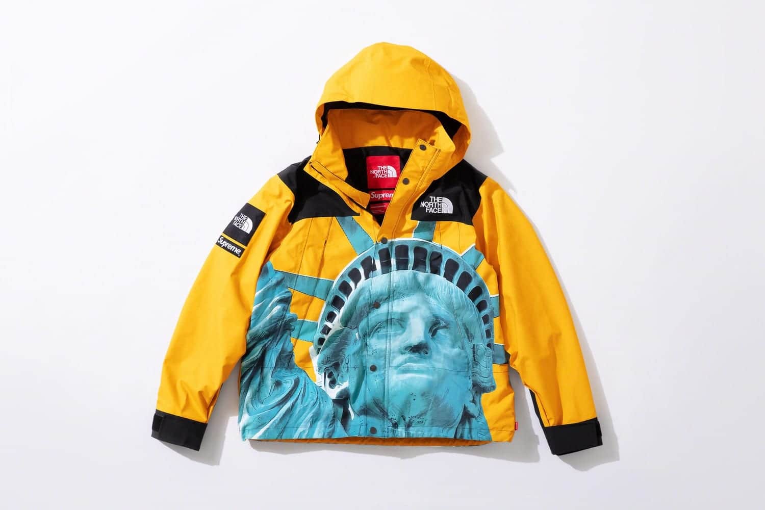 Supreme x The North Face fw19 17