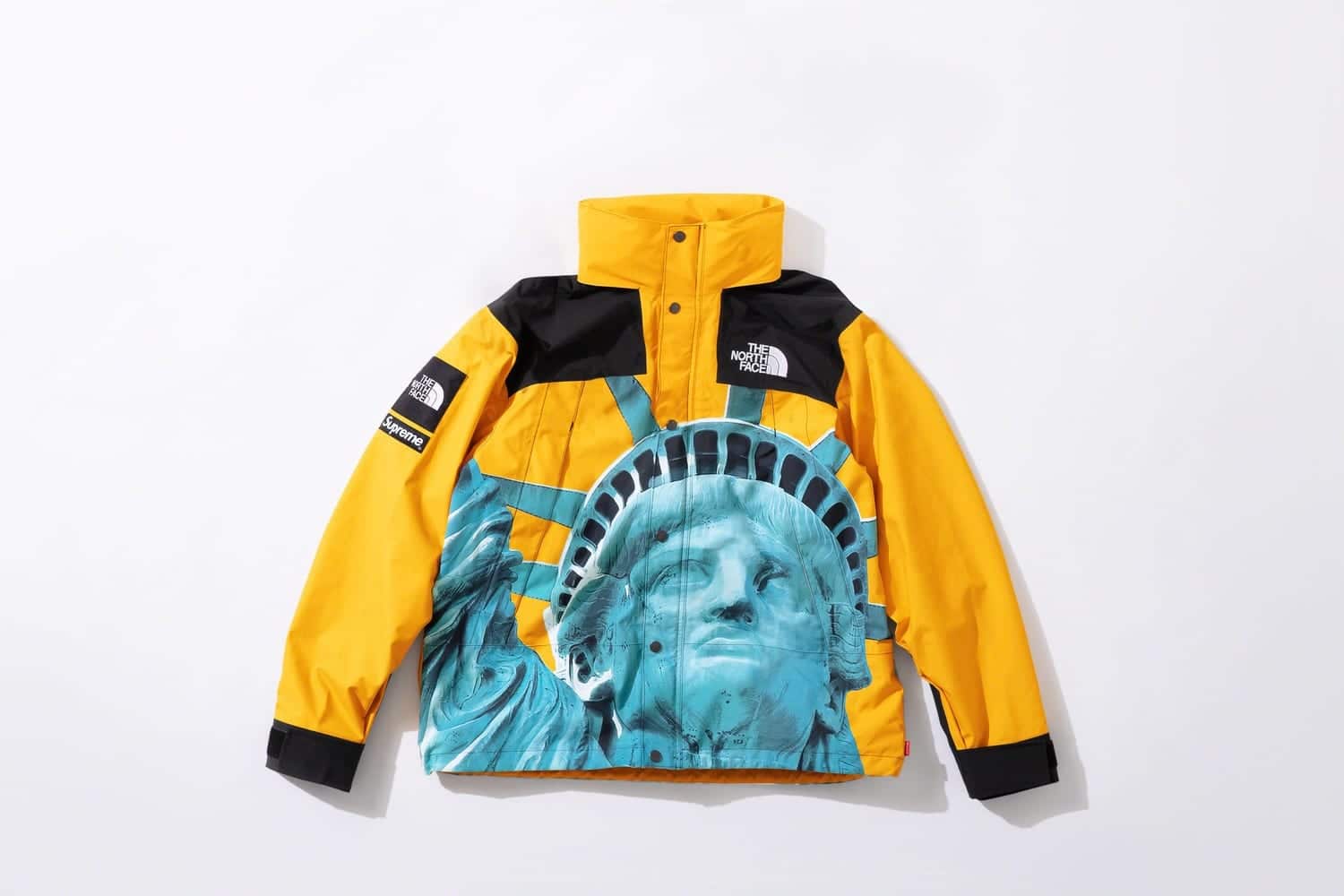 Supreme x The North Face fw19 18