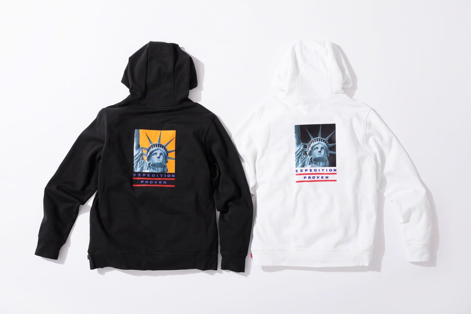 Supreme x The North Face fw19 24