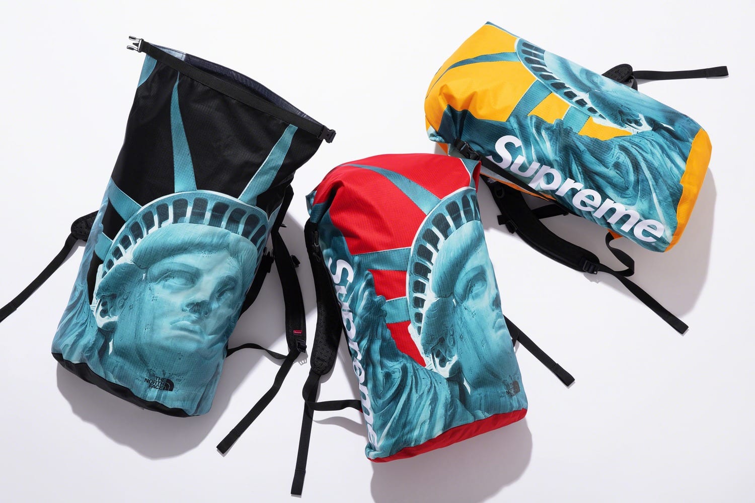 Supreme x The North Face fw19 28