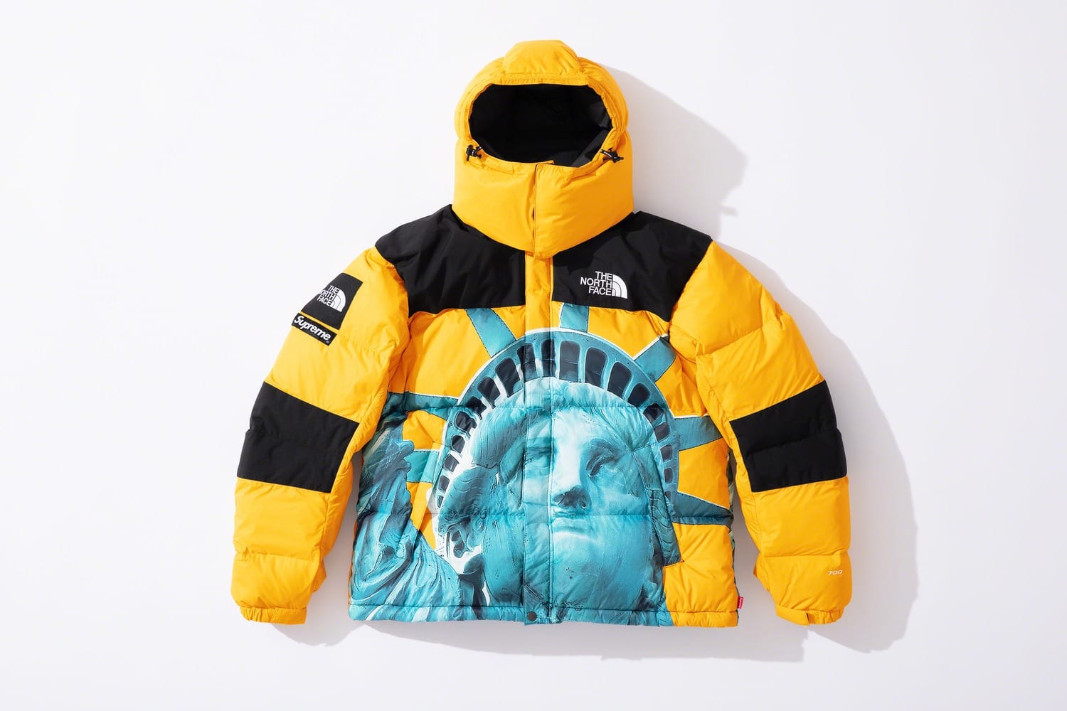 Supreme x The North Face fw19 5