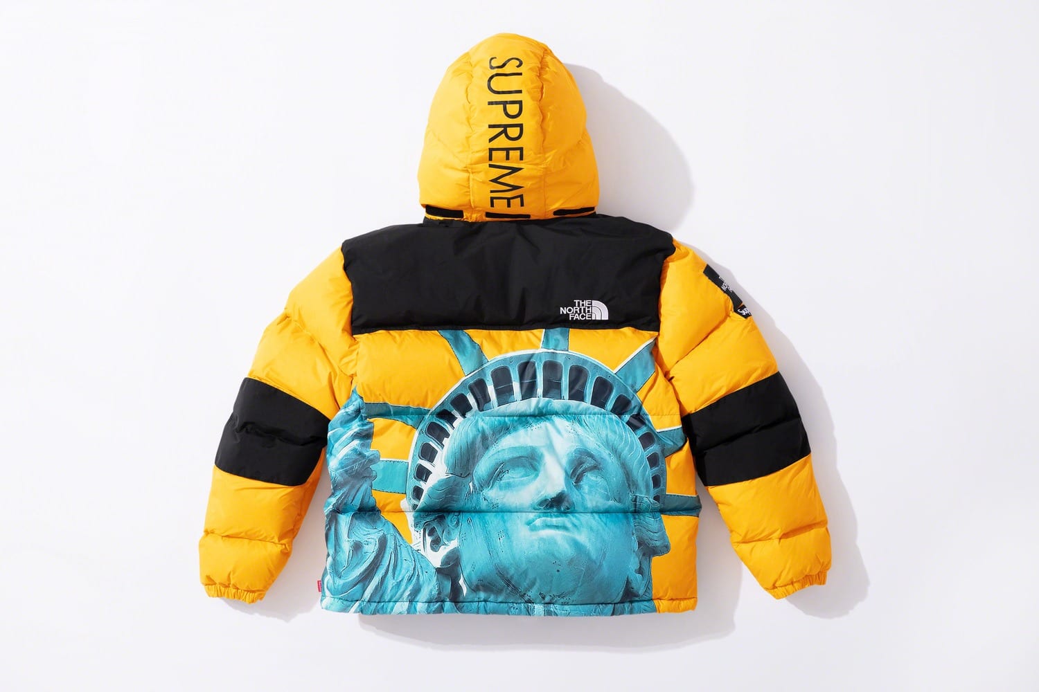 Supreme x The North Face fw19 6