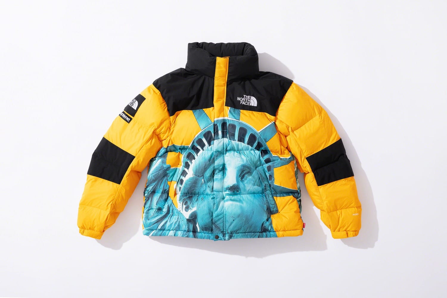 Supreme x The North Face fw19 7