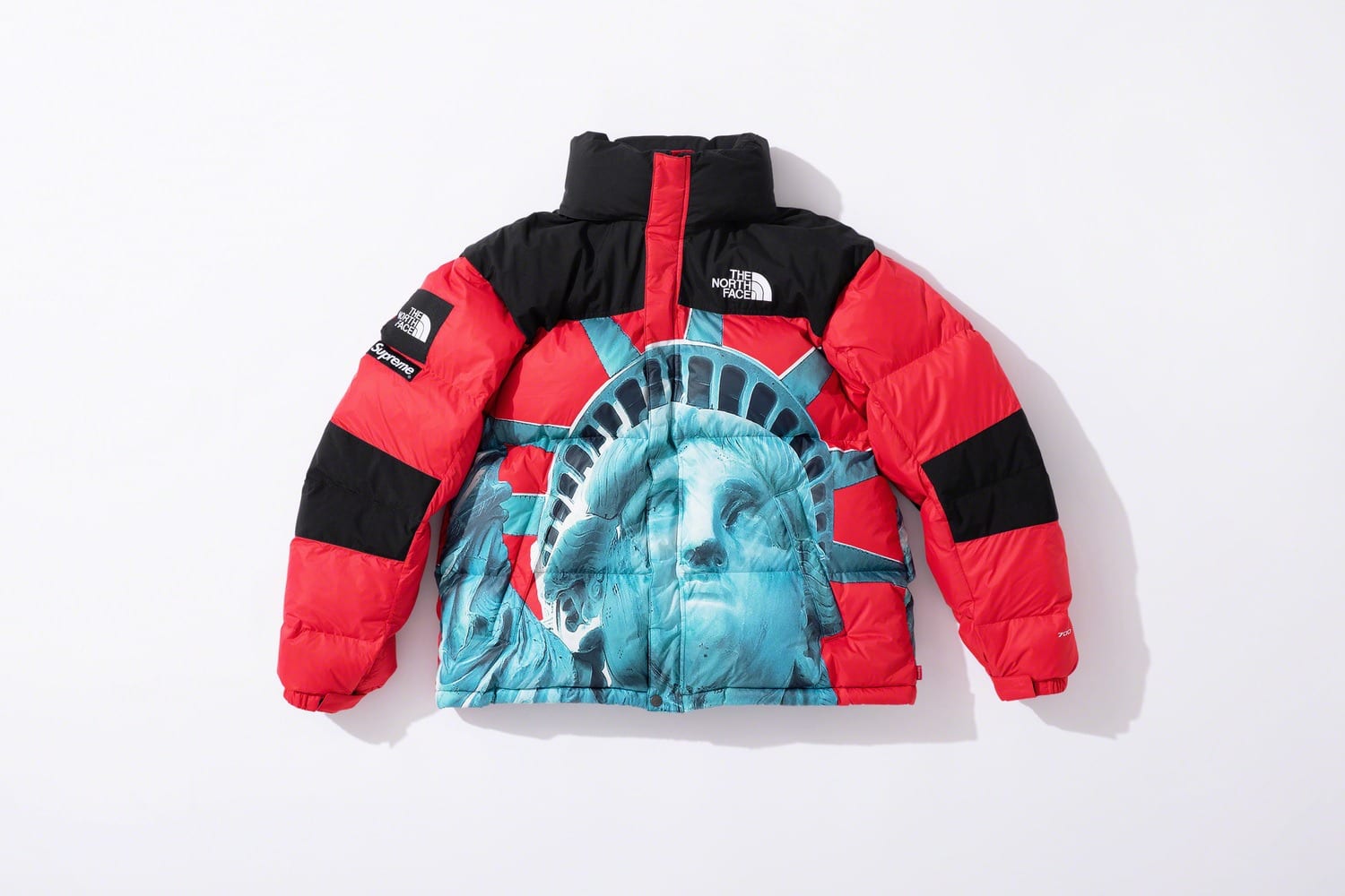 Supreme x The North Face fw19 9