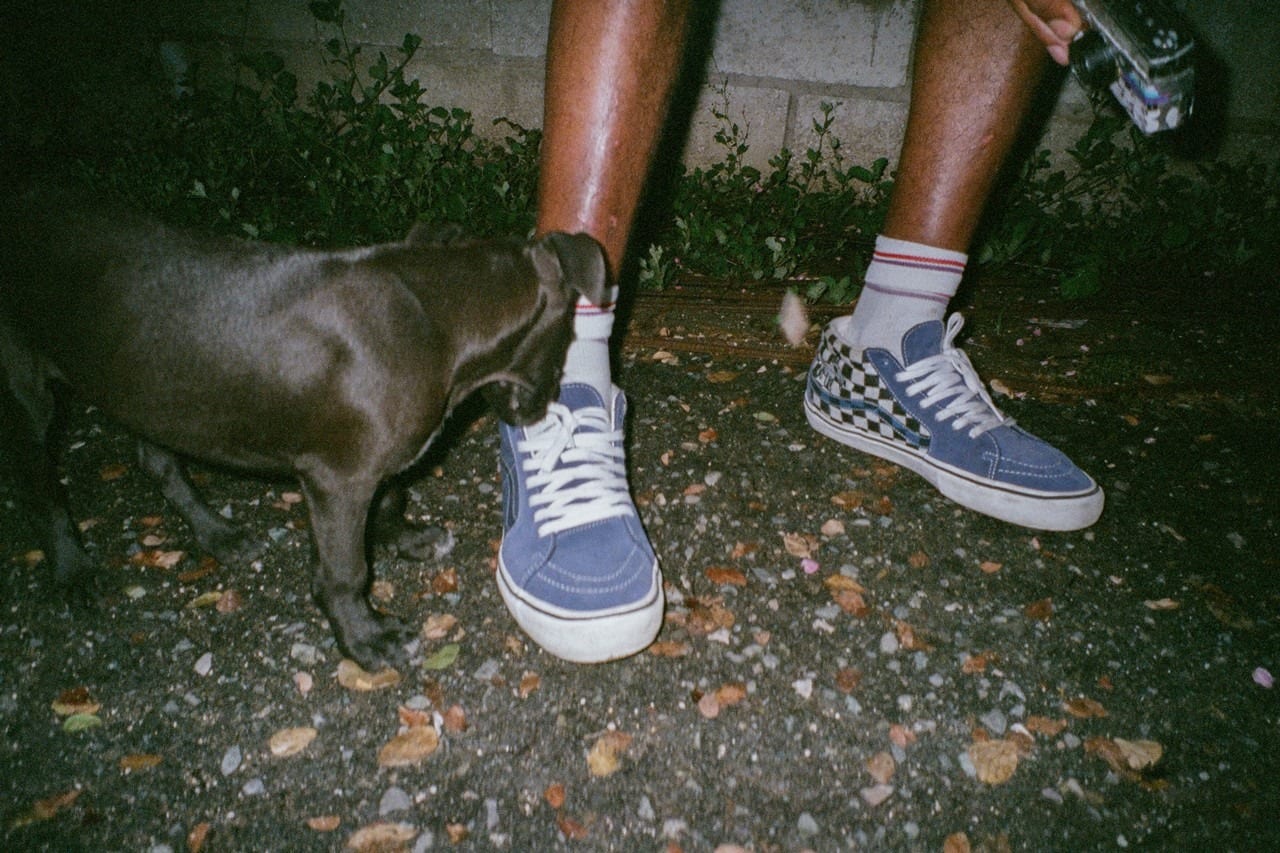 Alltimers x Vans SK8 Mid 5