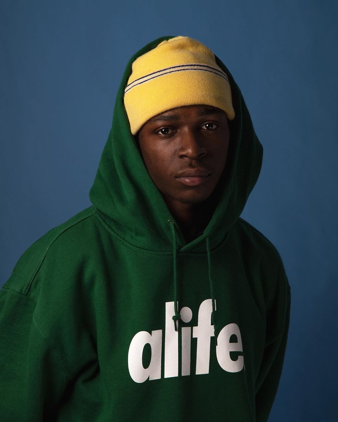 alife core logo 4
