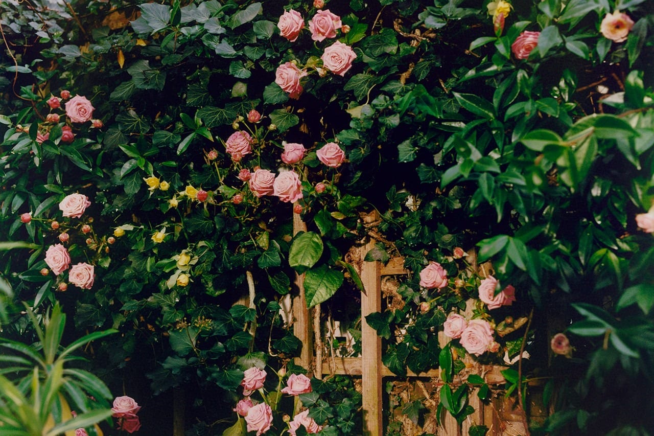 lookbook JW Anderson x UNIQLO british country style ss20 6