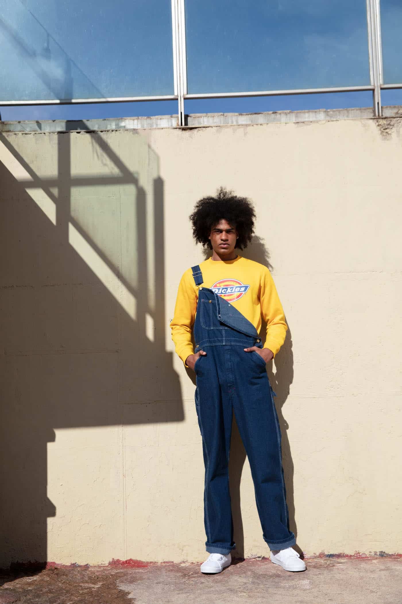lookbook dickies life ss20 1
