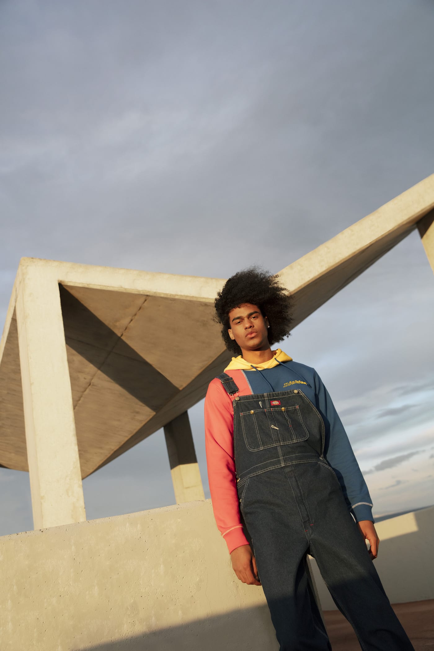 lookbook dickies life ss20 10