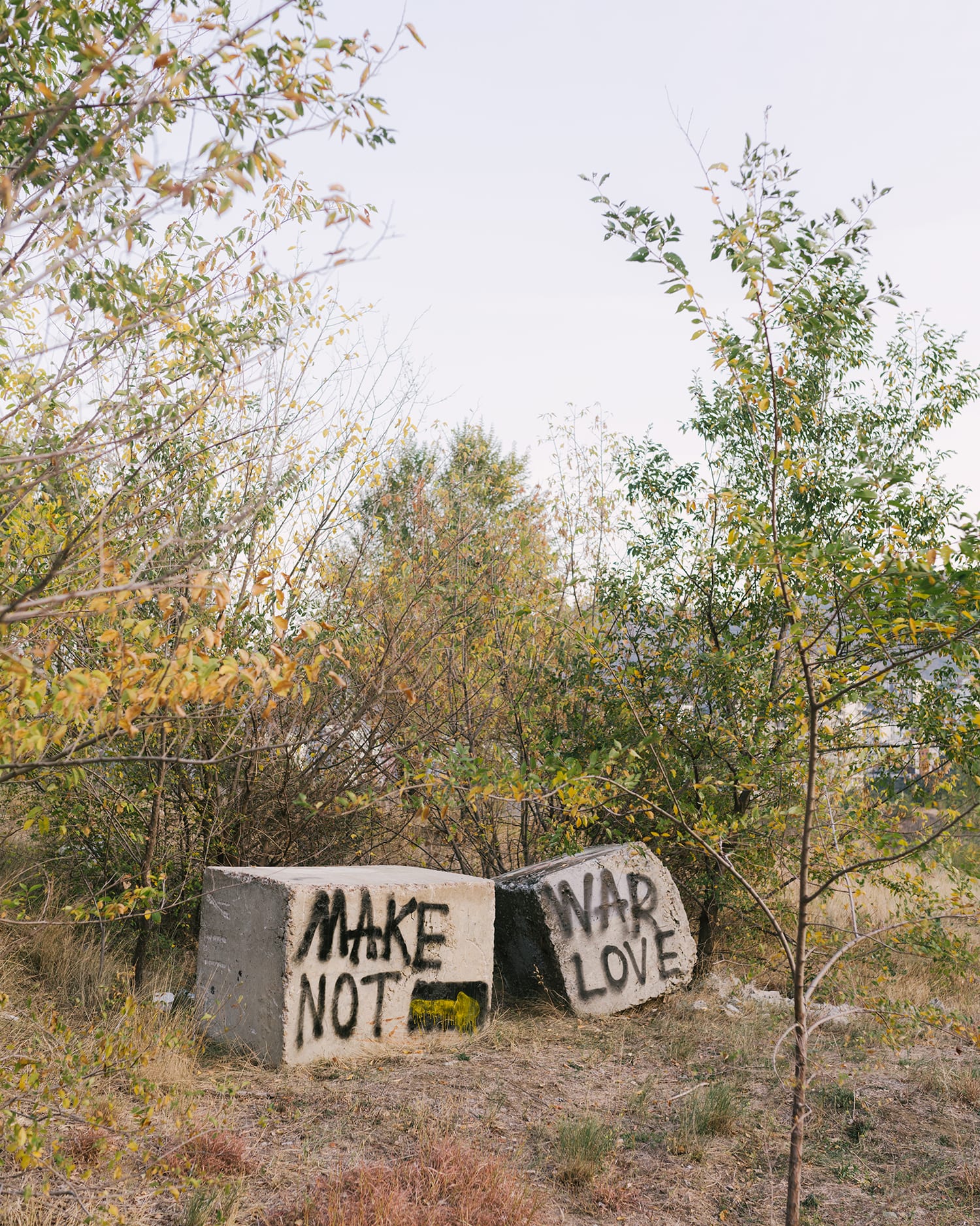 lookbook levis skateboarding ss20 21