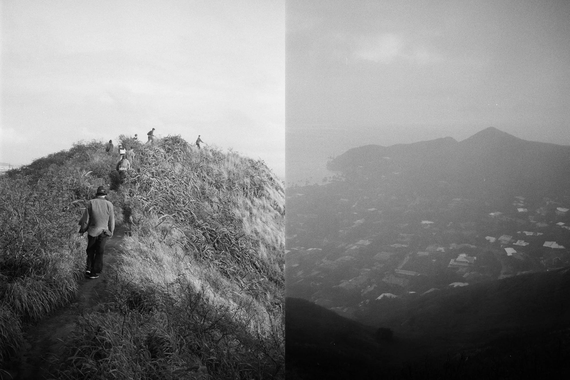 lookbook Noah x Frog Skateboards 14