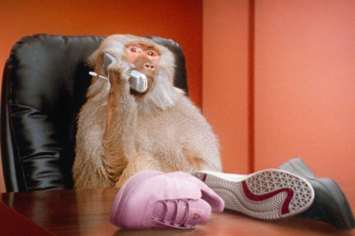 Palace x adidas Skateboarding x Lucas Puig Palace x adidas Skateboarding x Lucas Puig