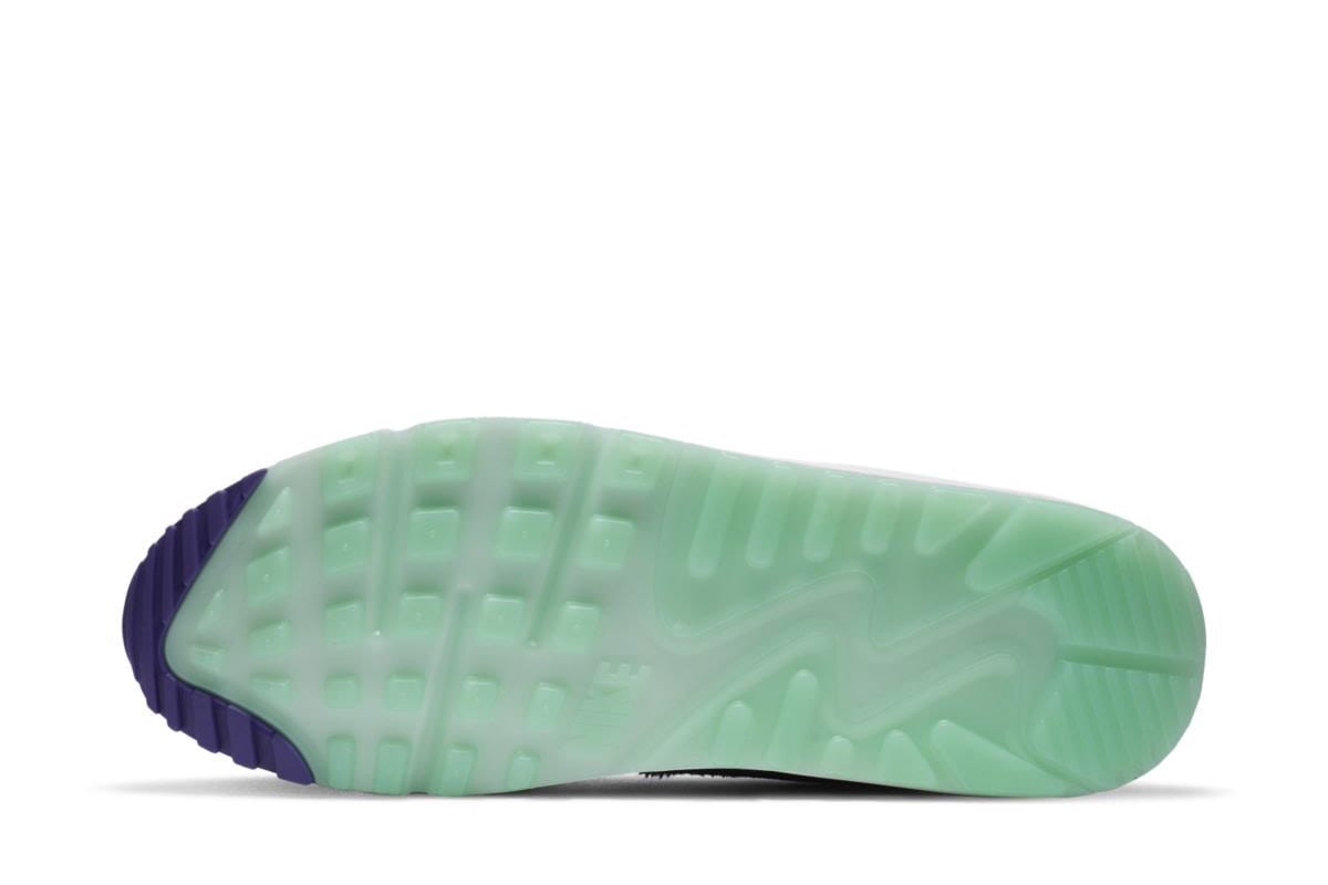 Nike Air Max 90 Cheetah CZ5588-001 1
