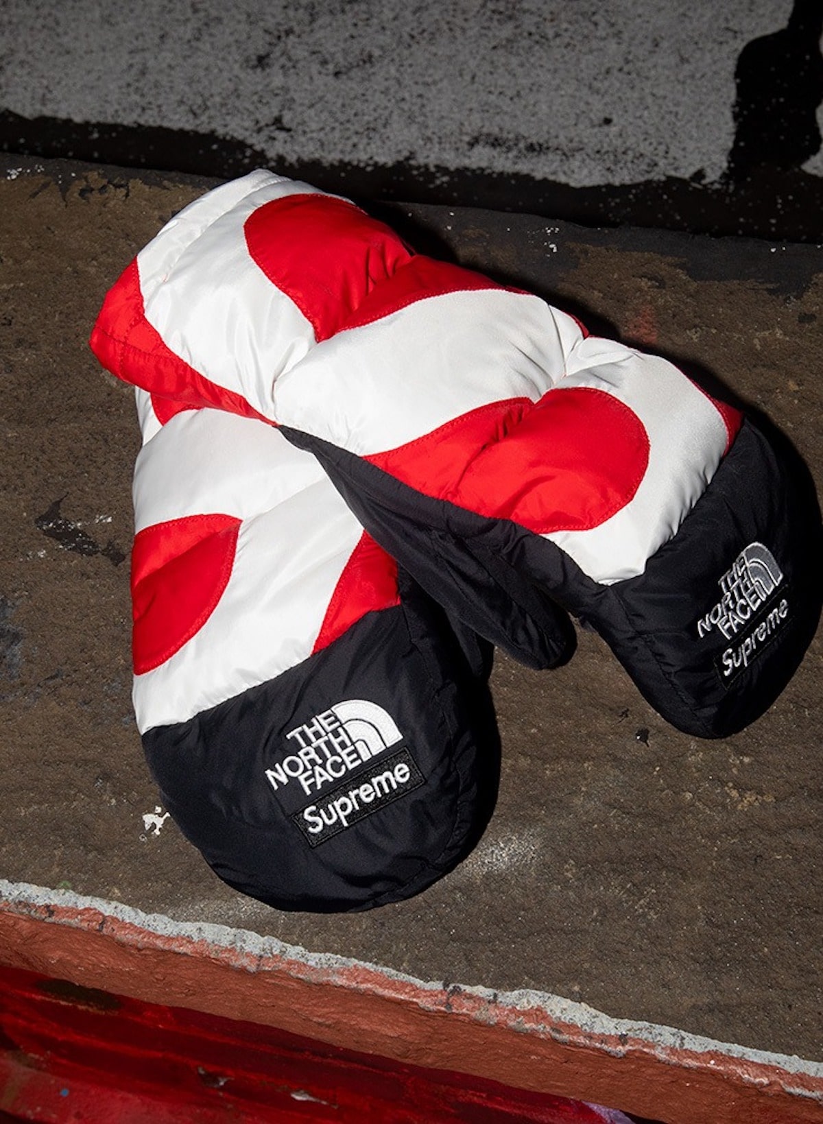 supreme x the north face fw20 14
