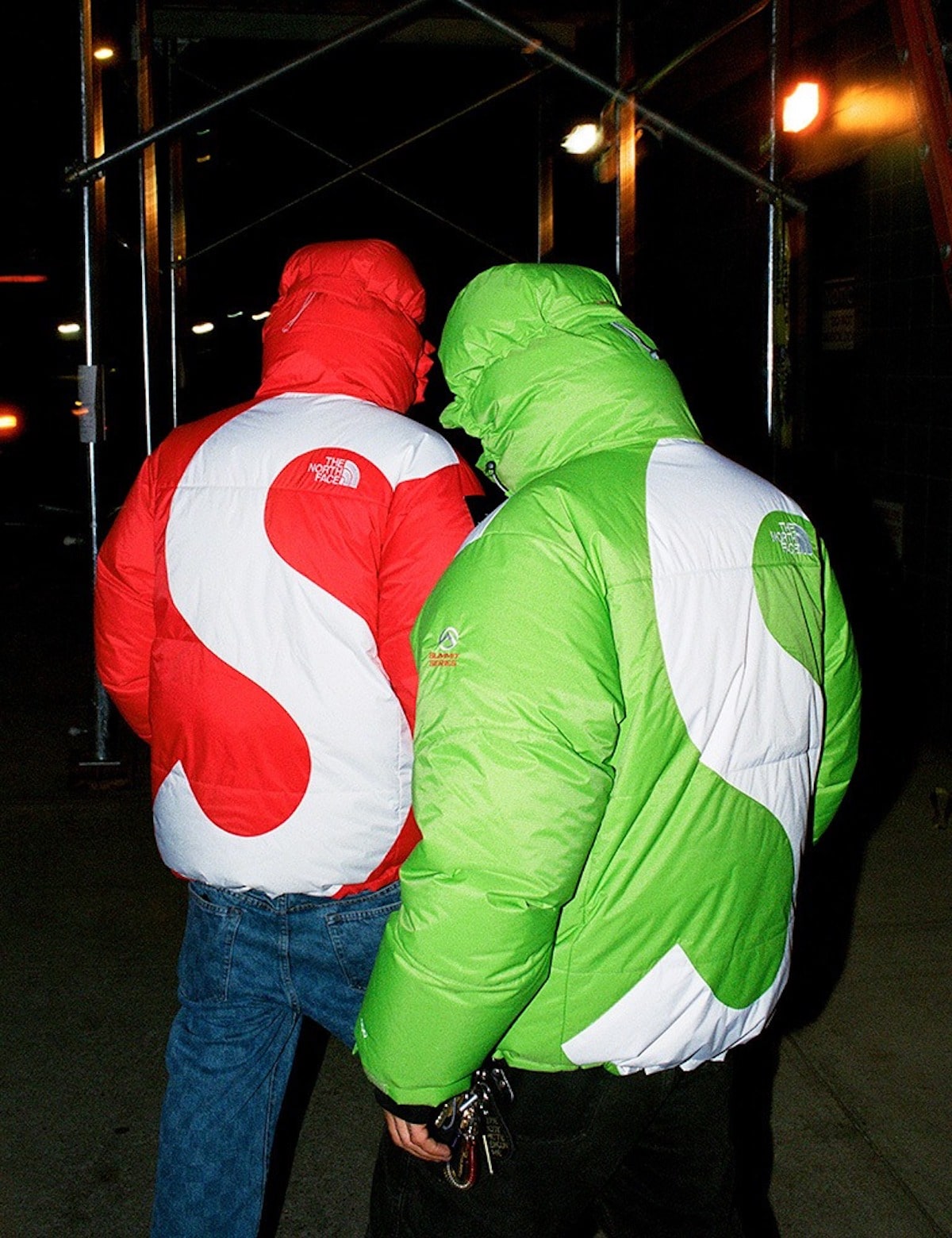 supreme x the north face fw20 3