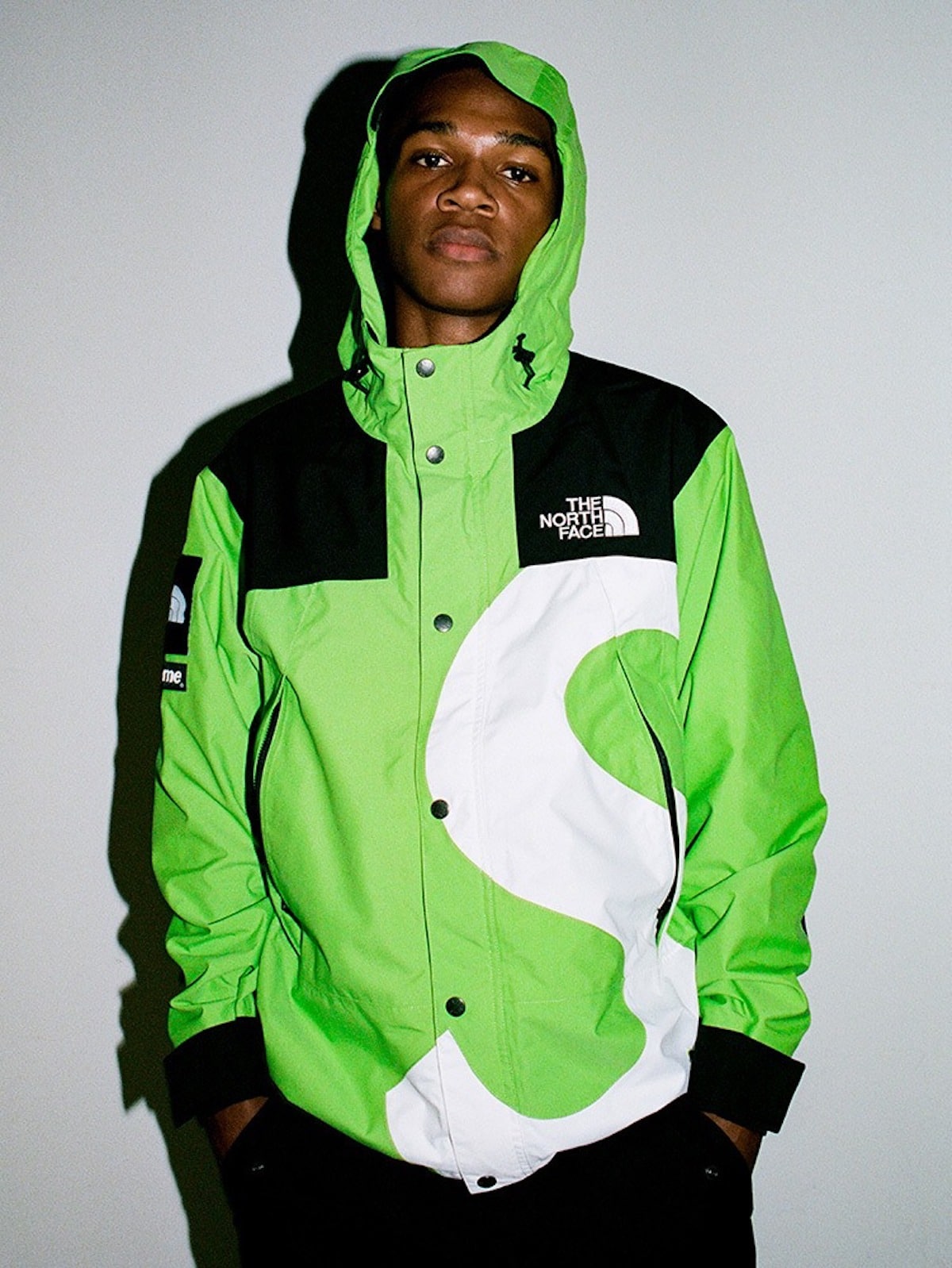 supreme x the north face fw20 6