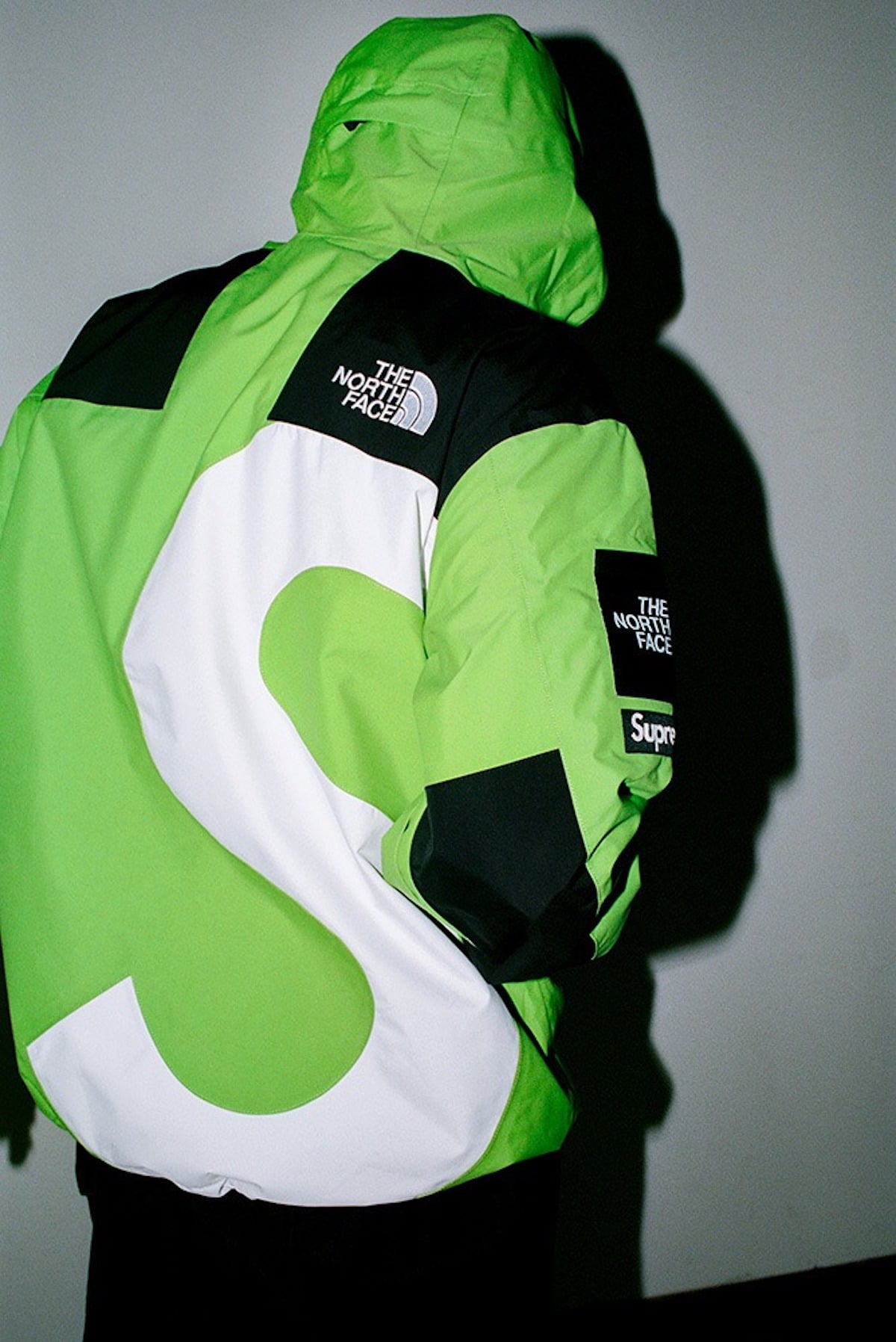 supreme x the north face fw20 7