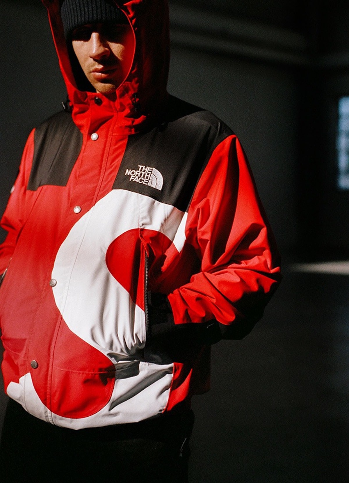 supreme x the north face fw20 8