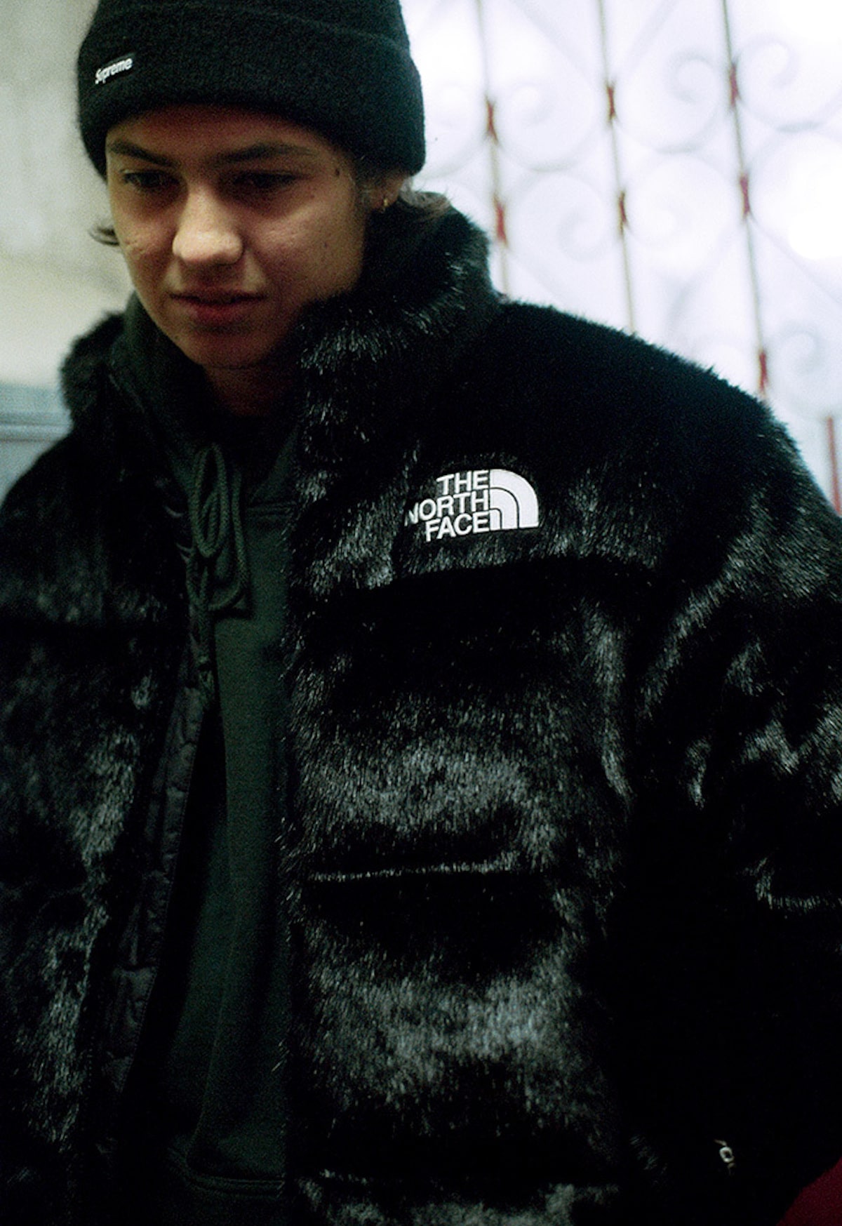 Supreme x The North Face HO20 3
