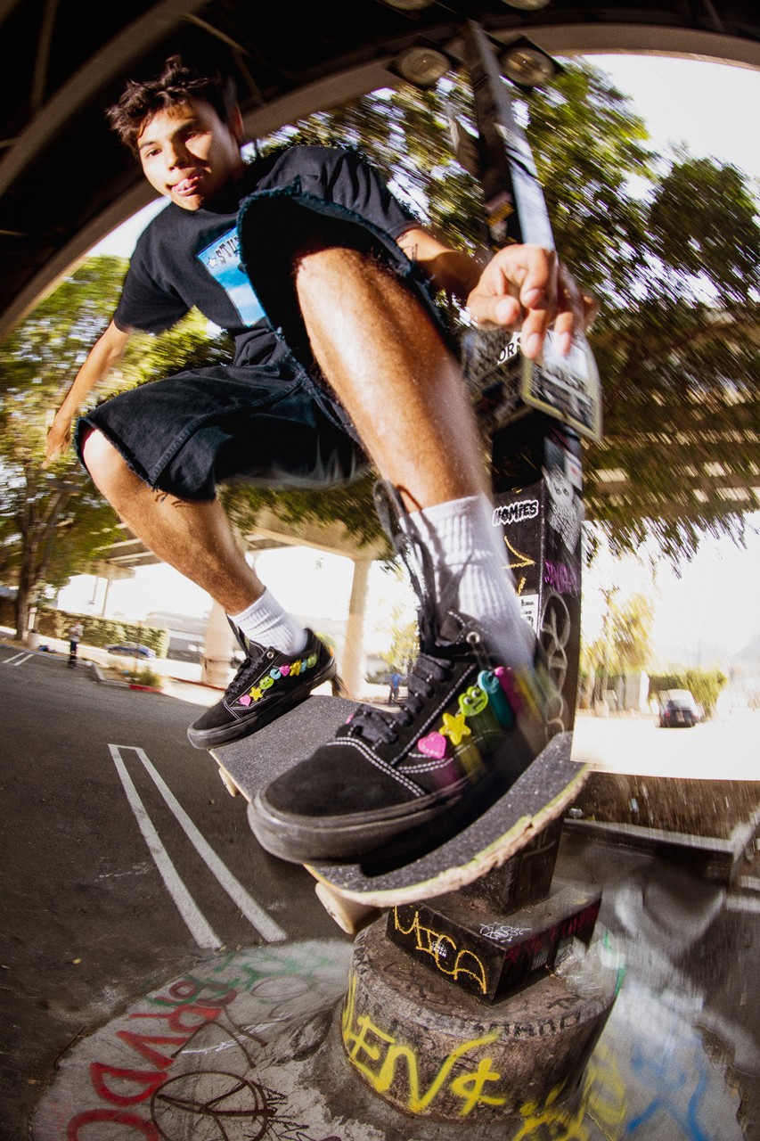 Frog Skateboards x Vans 2