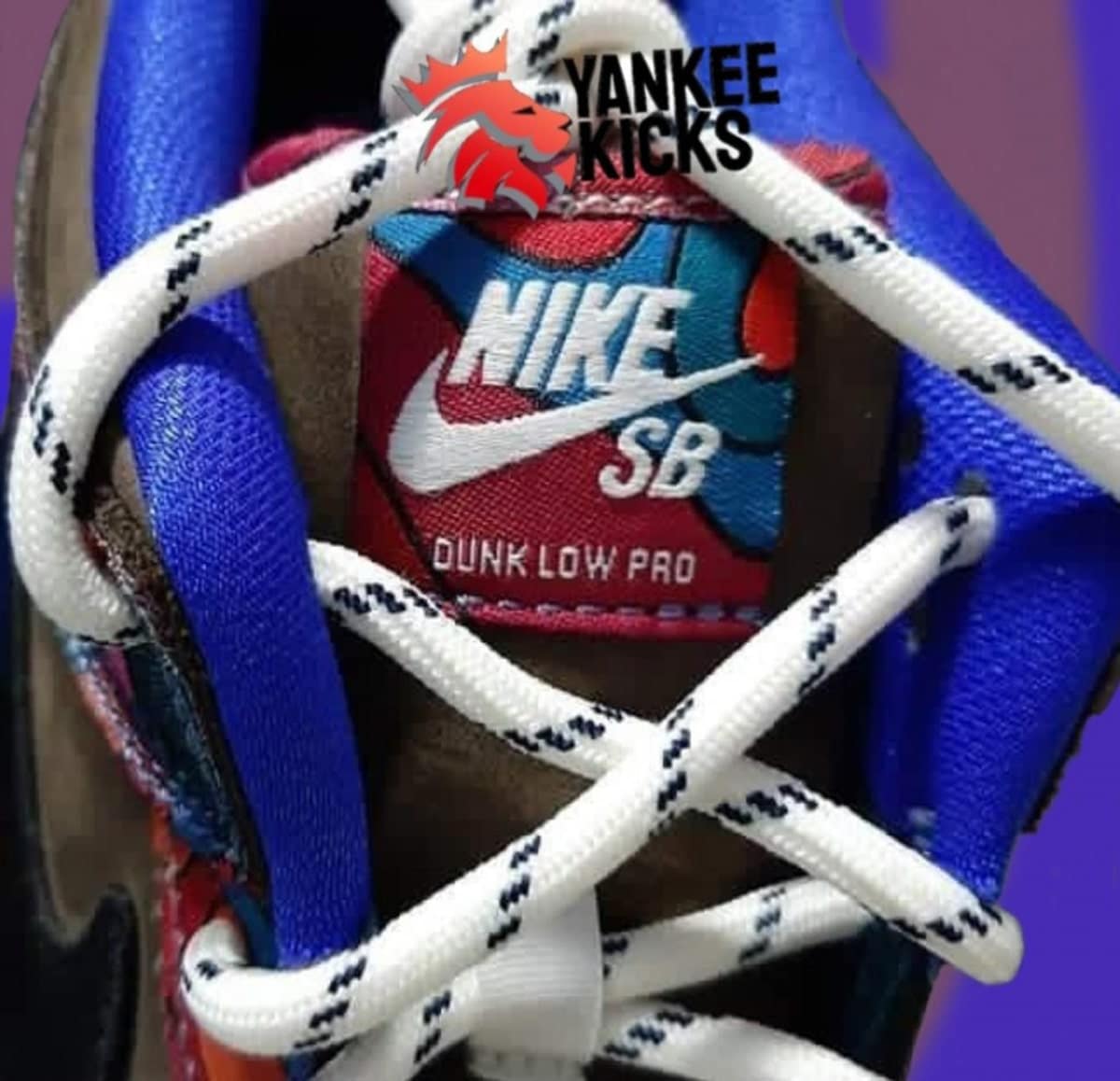 Parra x Nike SB Dunk Low 4