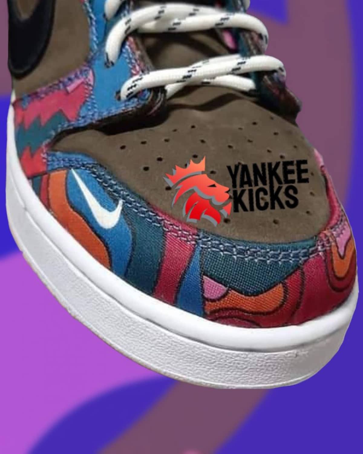 Parra x Nike SB Dunk Low 5