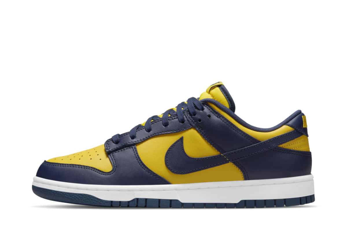 Nike Dunk Low Michigan DD1391-700 2