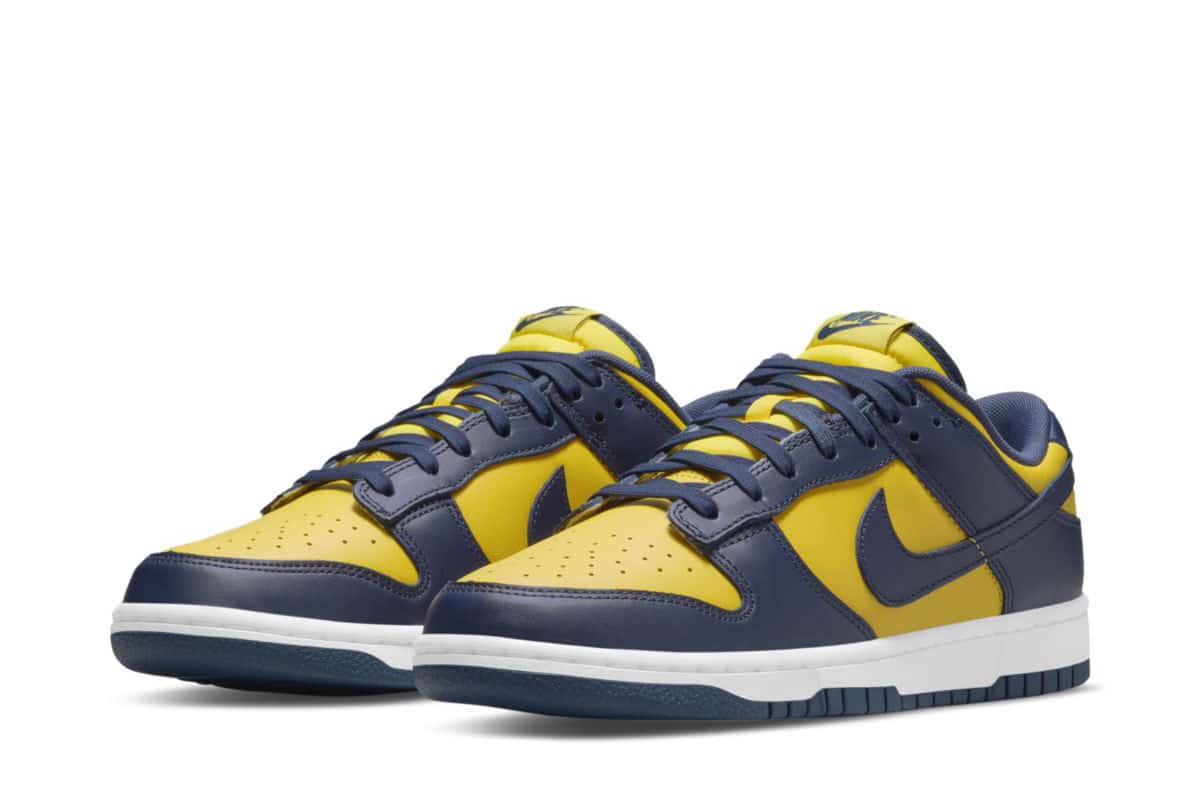Nike Dunk Low Michigan DD1391-700 4
