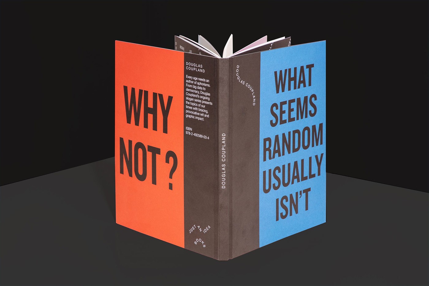 ksiazka sarah andelman just an idea book 4