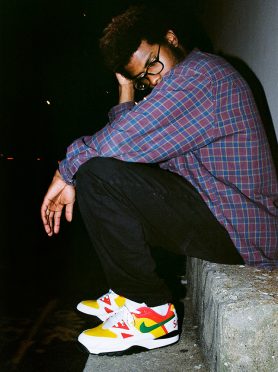 Supreme Nike Cross Trainer Low 2