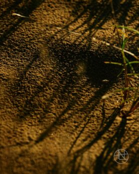 lookbook nanamica ss22 1