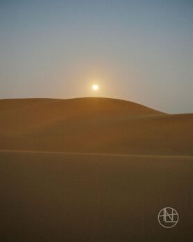 lookbook nanamica ss22 29