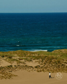 lookbook nanamica ss22 4