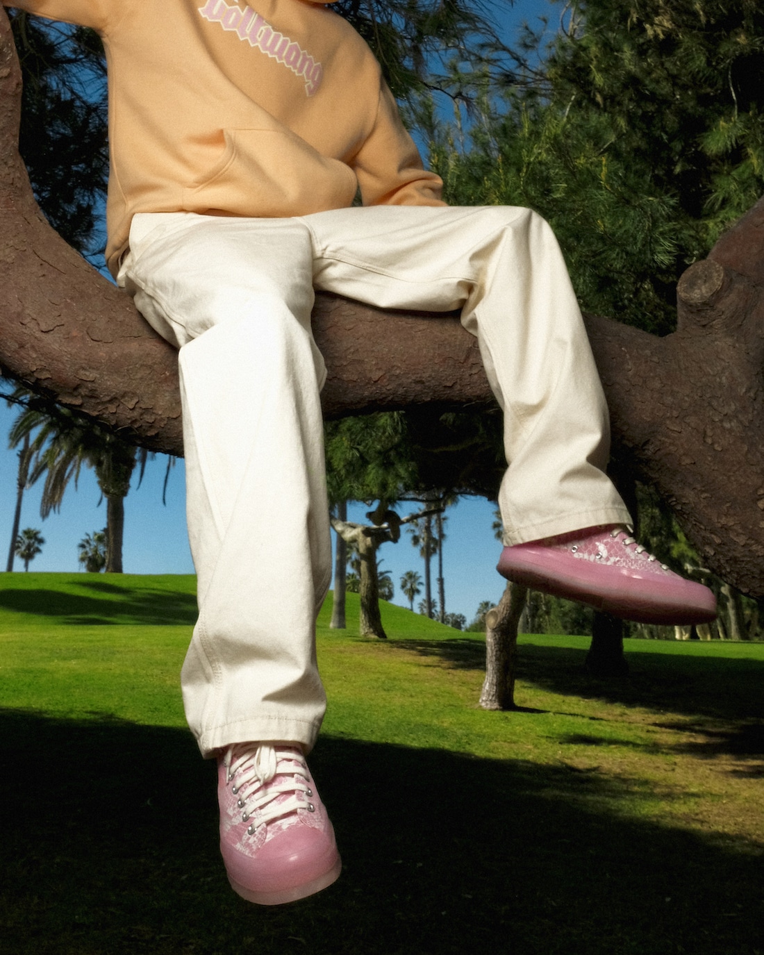 tyler the creator golf wang x converse chuck 70 low python snake pink