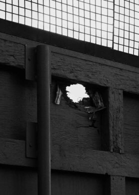 lookbook reigning champ aesthetics of sport sp22 18