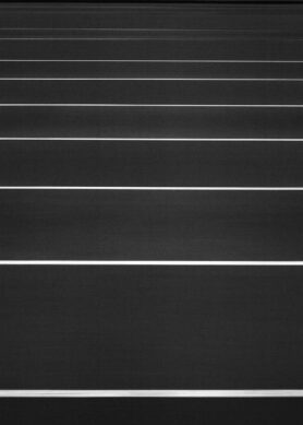 lookbook reigning champ aesthetics of sport sp22 9