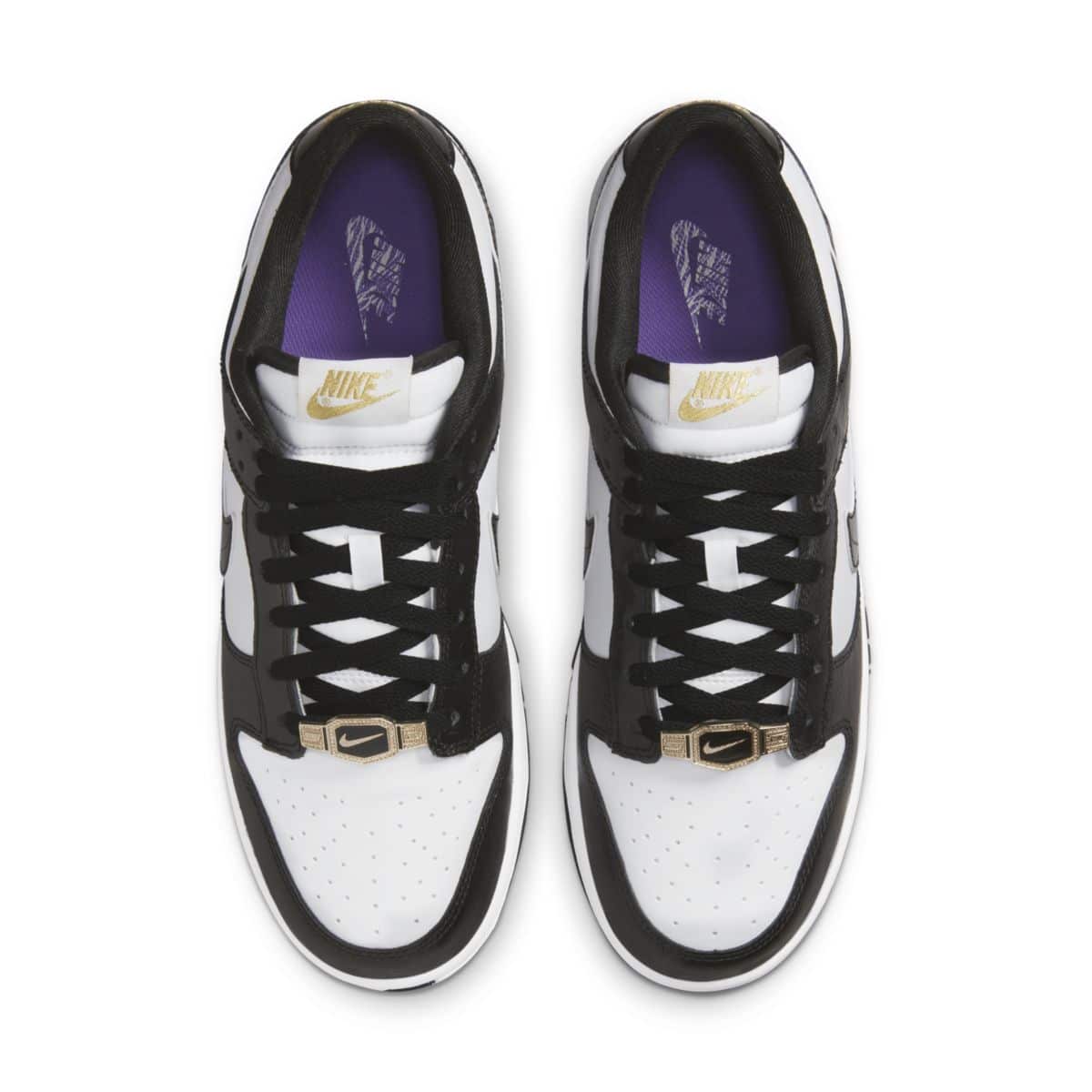 nike dunk low world champions DR9511-100 5