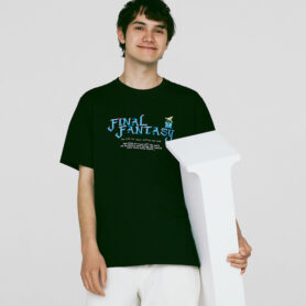 FF_model_01