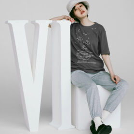 FF_model_01