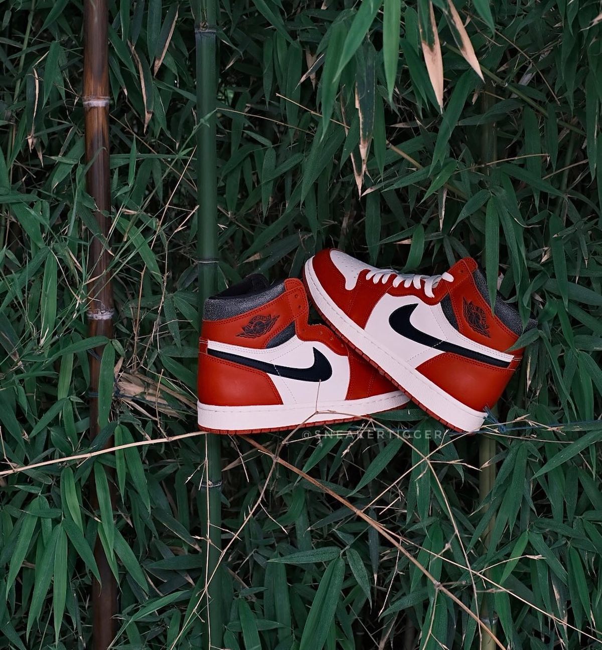 Air Jordan 1 High Chicago Reimagined DZ5485-612 9