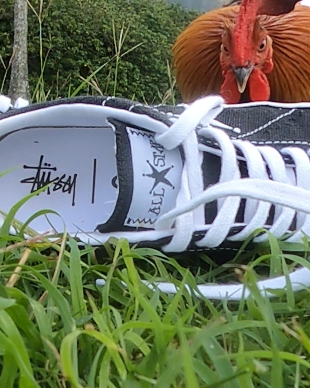 stussy x converse chuck 70 hi one star SU22 5